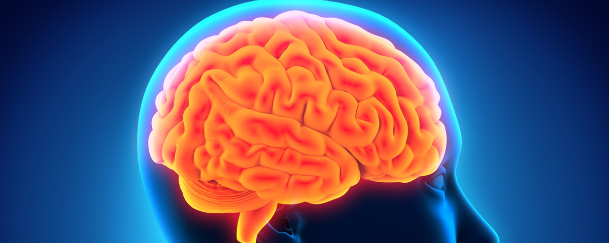 Glowing 3D illustration of a human brain in orange against a blue field